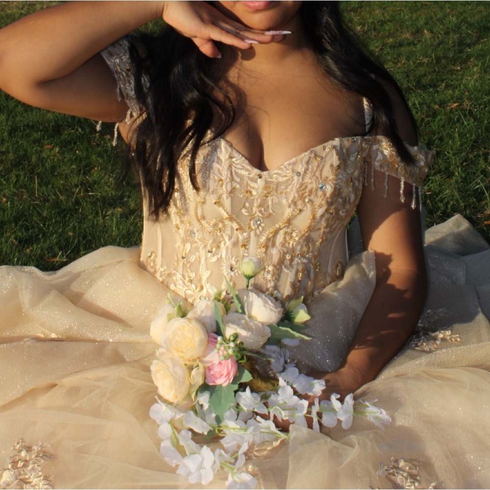 Elegant Gold Embroidered Gown
Quinceañera dress